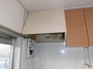 悩みの種だった換気扇も、既存の換気扇カバーを塗装仕上げすることで、システムキッチンにマッチしています