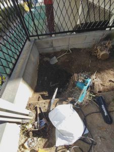 【工事中】金木犀を伐採しました