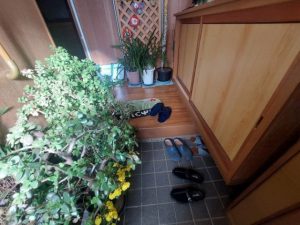 上がり框の経年劣化が見受けられます